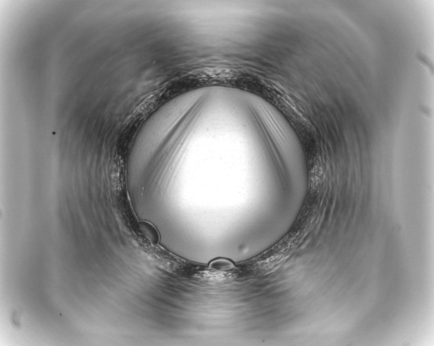 X0000093420464200711021018