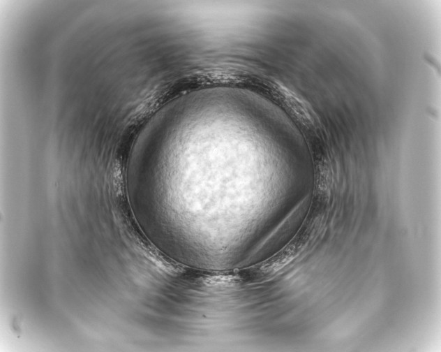 X0000093420465200711021018