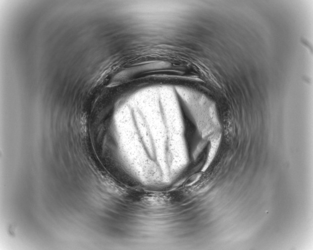 X0000093420466200711021018