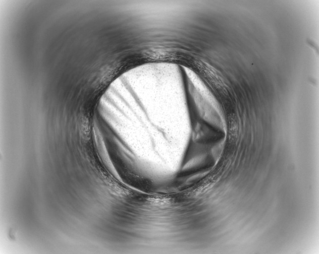 X0000093420469200711021018