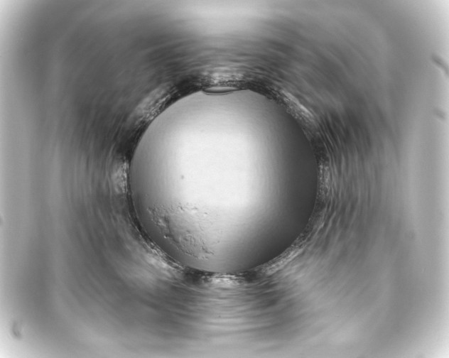 X0000093420475200711021018