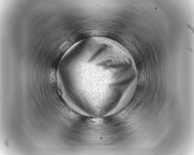 X0000093420478200711021018