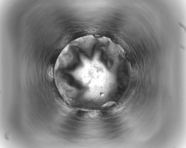 X0000093420479200711021018