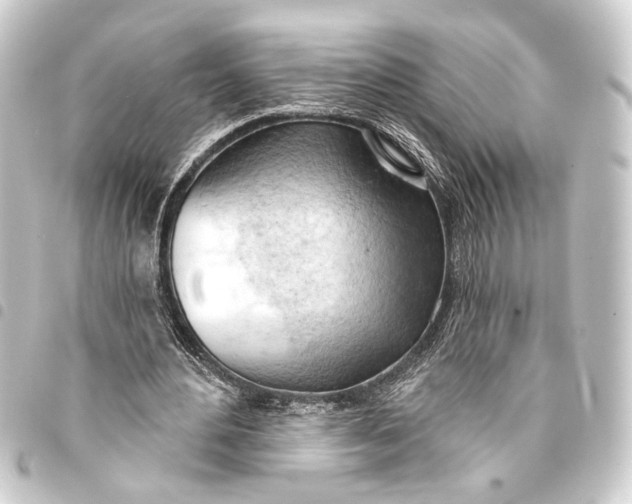 X0000093420484200711021018