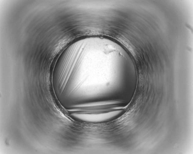 X0000093420485200711021018