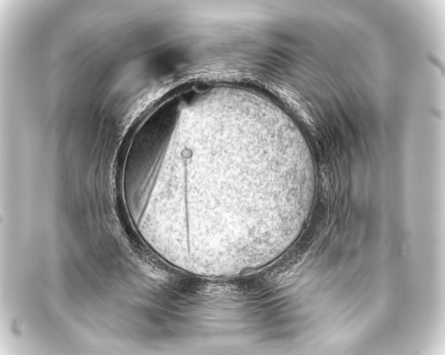 X0000093420487200711021018