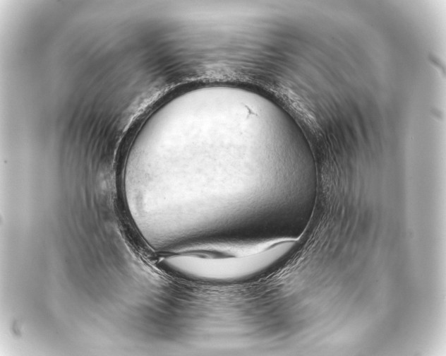 X0000093420488200711021018