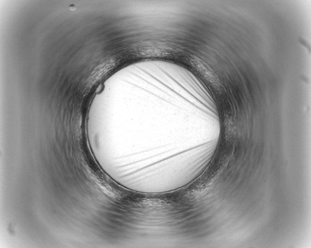 X0000093420490200711021018