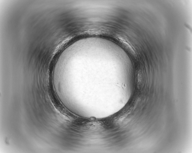 X0000093420492200711021017