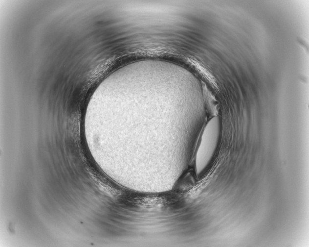 X0000093420493200711021017