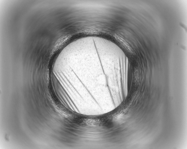 X0000093420494200711021017