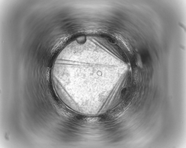 X0000093420495200711021017