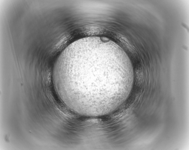 X0000093420499200711021017