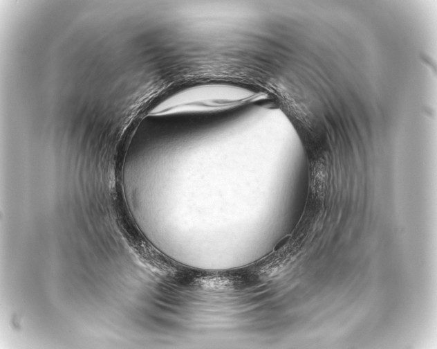 X0000093420500200711021017