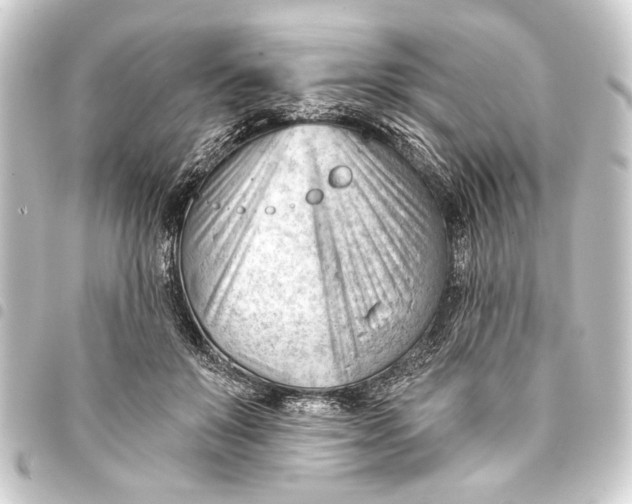 X0000093420503200711021017