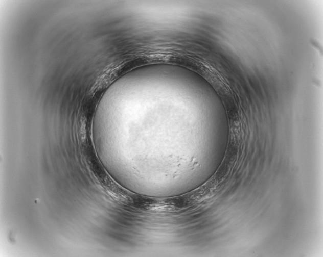 X0000093420504200711021017