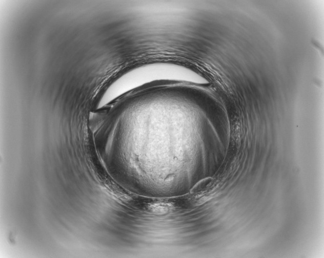 X0000093420508200711021017