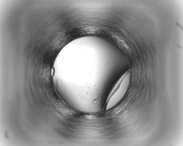 X0000093420509200711021017