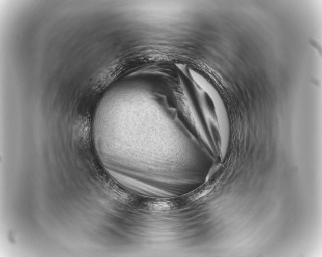 X0000093420513200711021017