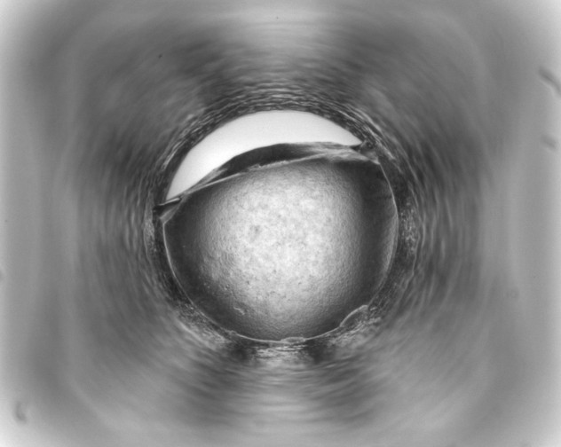 X0000093420516200711021017