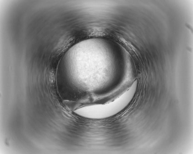 X0000093420517200711021017