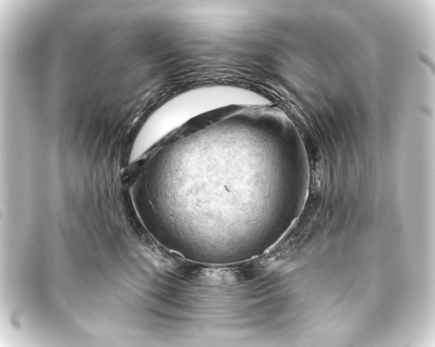 X0000093420520200711021017