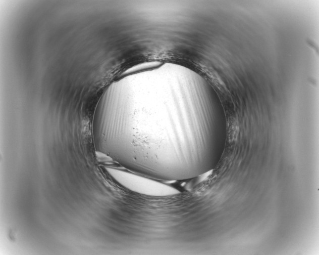 X0000093420521200711021017