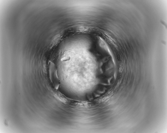 X0000093420524200711021017