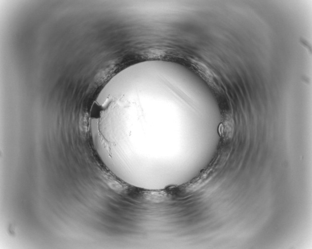 X0000093420525200711021017