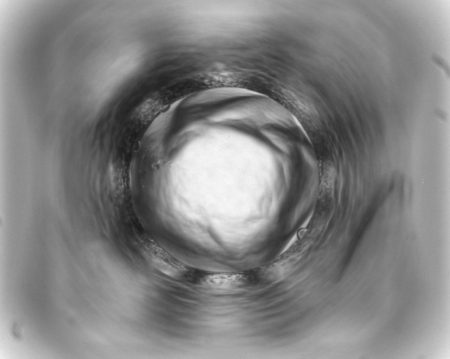 X0000093420526200711021017