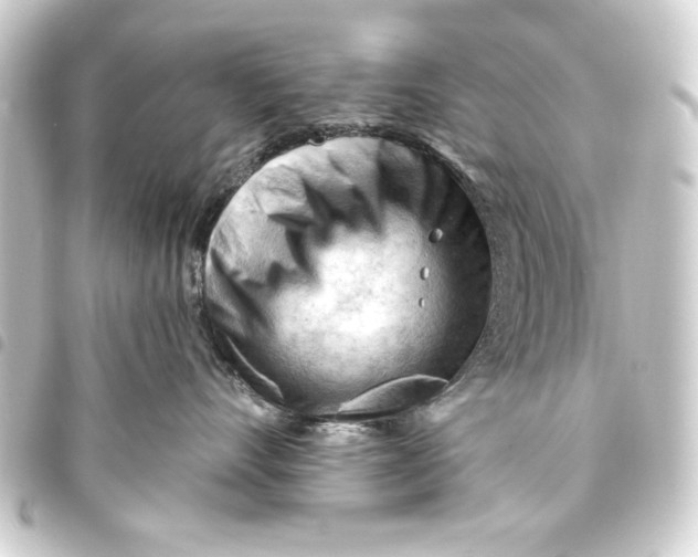 X0000093420528200711021017