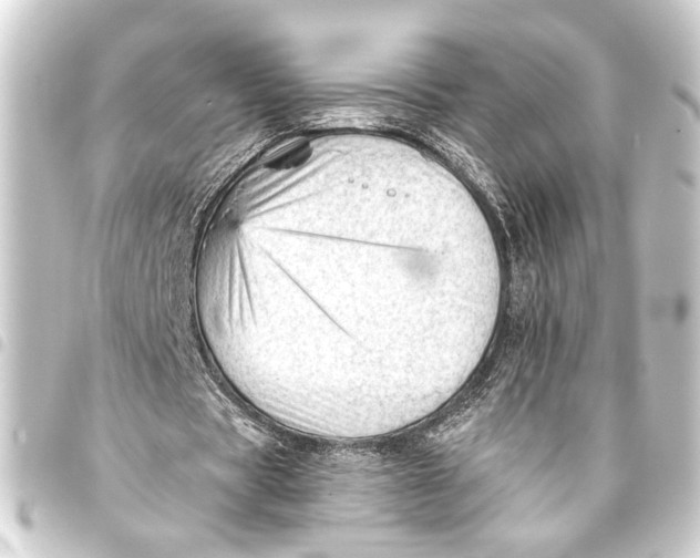 X0000093420529200711021016