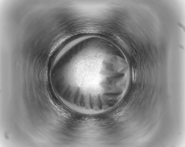 X0000093420531200711021017