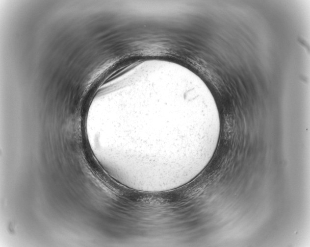 X0000093420535200711021017