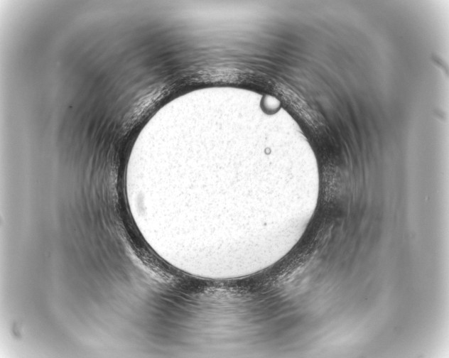 X0000093420538200711021017