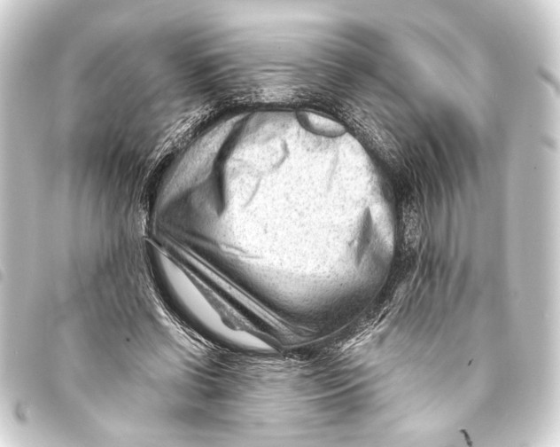 X0000093420542200711021017