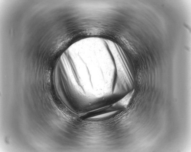 X0000093420543200711021017