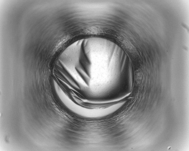 X0000093420544200711021017