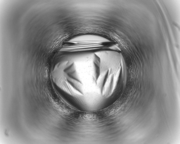 X0000093420546200711021017