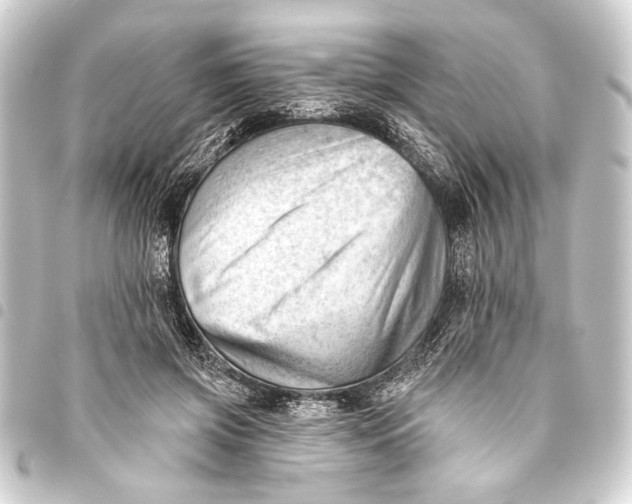 X0000093420549200711021017