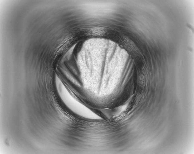 X0000093420552200711021017