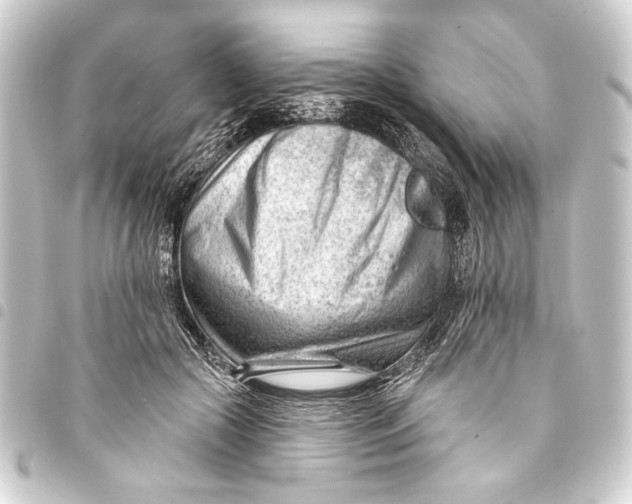 X0000093420553200711021017