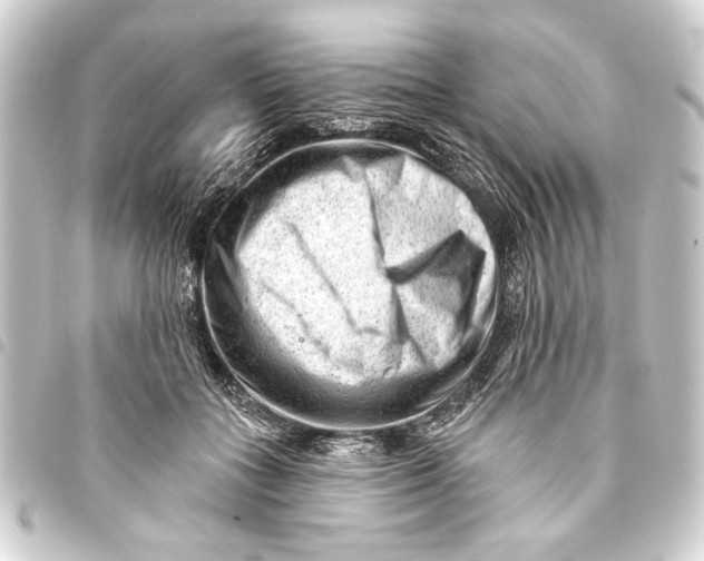 X0000093420555200711021017