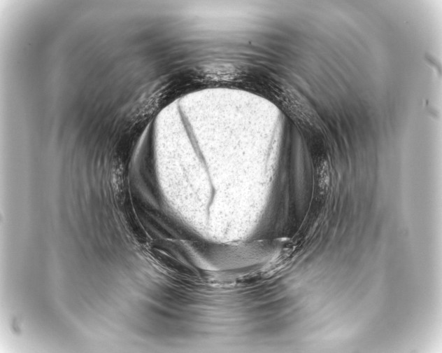 X0000093420559200711021017