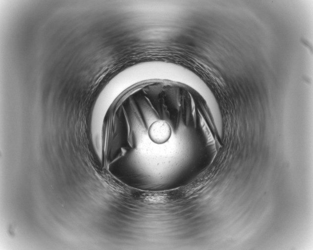 X0000093420560200711021017