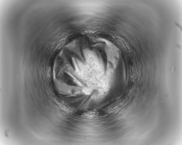 X0000093420563200711021017