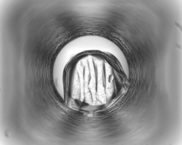 X0000093420564200711021017