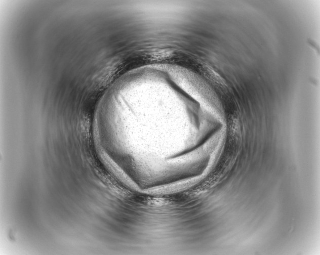 X0000093420565200711021017