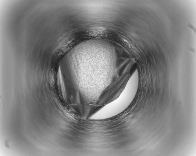 X0000093420566200711021017