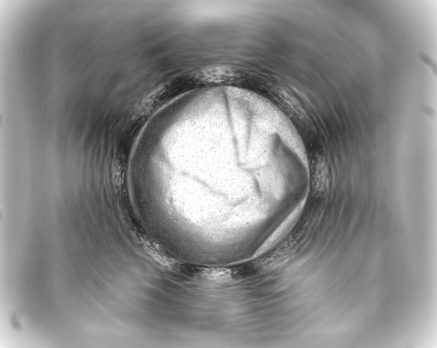 X0000093420569200711021017